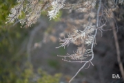 Samyang-Hiking-10