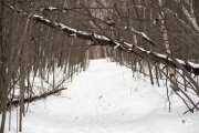 Samyang-Hiking-3