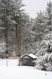 Winter-Wonderland-2