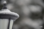 Winter-Wonderland-6