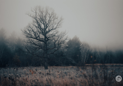 34-Landscape-Images