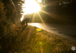 44-Flare-2