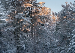 25-Landscape-3