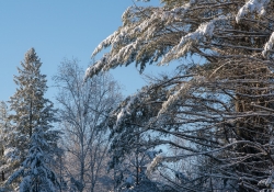 25-Landscape-4