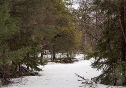 25-Landscape