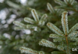 30-Bokeh-Samples-10
