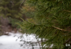 30-Bokeh-Samples-11
