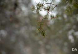 30-Bokeh-Samples-13