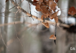 30-Bokeh-Samples-14