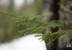30-Bokeh-Samples-7