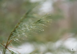 30-Bokeh-Samples-8