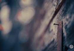 Samples-7