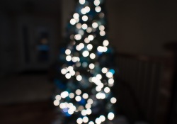 31-Bokeh-2 31-Bokeh-2