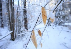 31-Bokeh-3 31-Bokeh-3