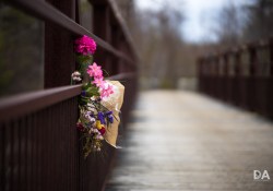 36-Bokeh-7