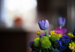 36-Bokeh