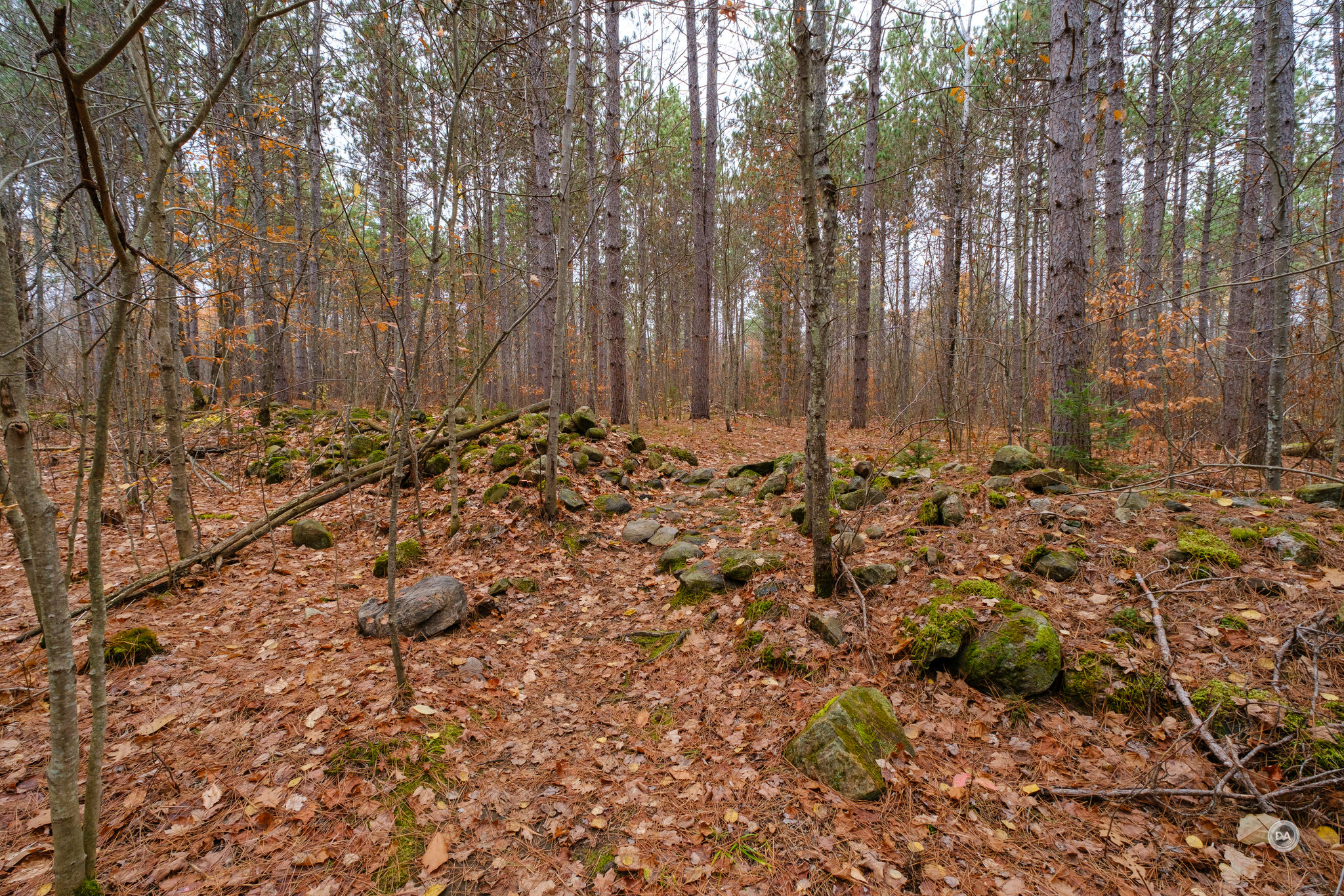 10-18-Photos-1