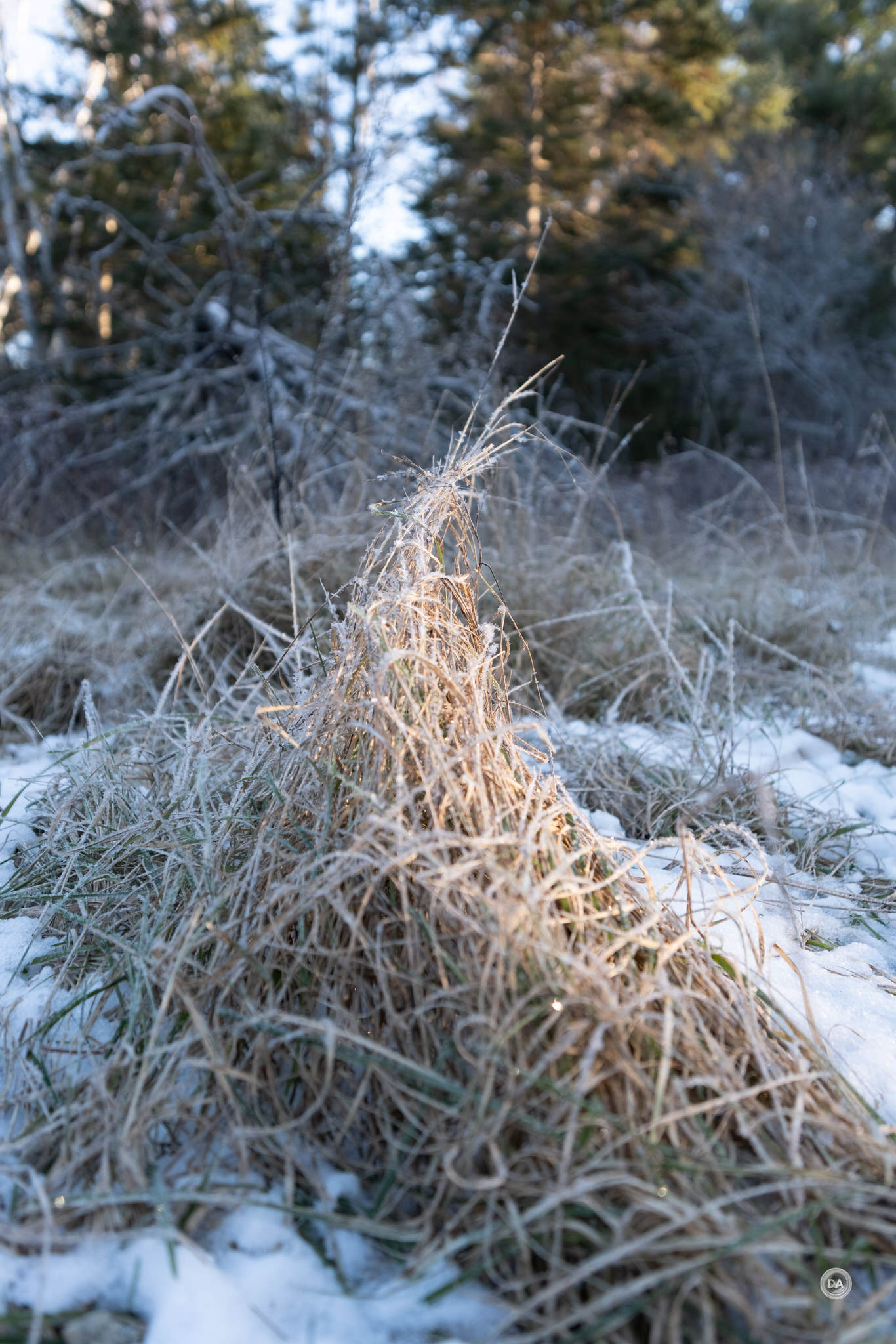 10-18-Photos-23