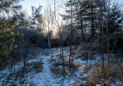 18-Landscape-1