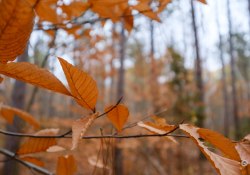 28-Bokeh-1