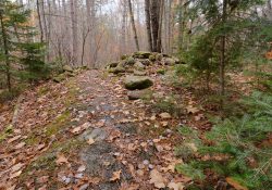 33-Late-Autumn-1