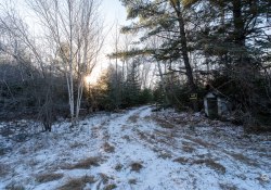 34-Early-Winter-1
