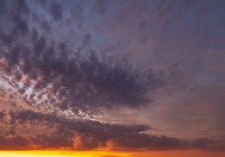 Sigma-10-18-DN-Samples-12