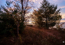 Sigma-10-18-DN-Samples-23