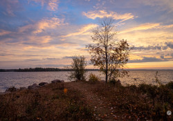 Sigma-10-18-DN-Samples-25