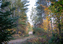 Sigma-10-18-DN-Samples-3