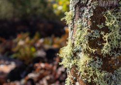 Sigma-10-18-DN-Samples-34