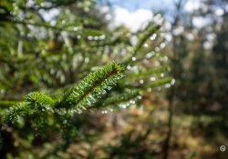 Sigma-10-18-DN-Samples-35