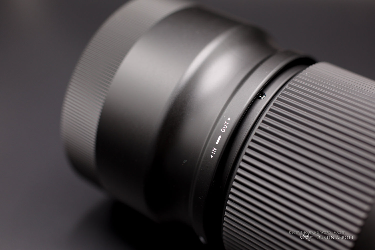 Sigma 100-400mm f/5-6.3 Contemporary Review - DustinAbbott.net