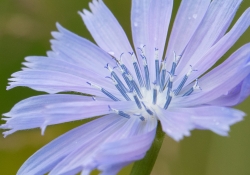 APS-C Crop 400mm 2-2