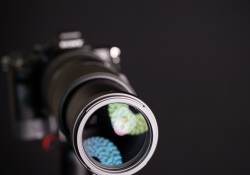 Sigma-100-400-DN-Product-10