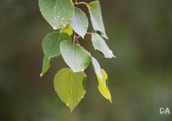 14-Close-focus-4
