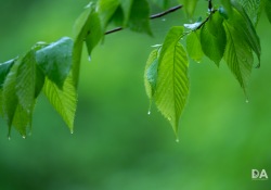 14-Close-focus-6