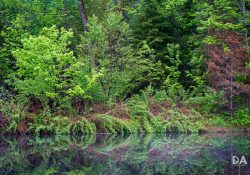 41-Landscapes-2