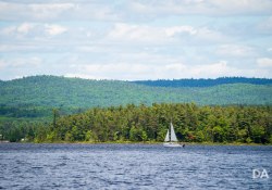 41-Landscapes-3