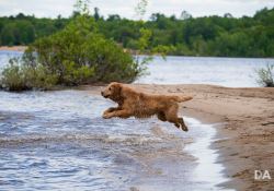 44-Jumping-for-Joy