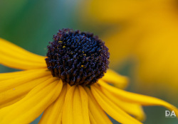 23-Macro-2