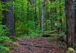 28-Landscape-3 28-Landscape-3