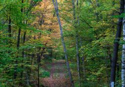 28-Landscape-4 28-Landscape-4
