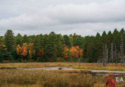 28-Landscape-5 28-Landscape-5