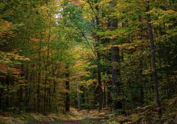 28-Landscape-6 28-Landscape-6