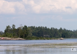 Landscape Detail Crops