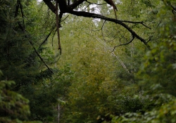 RAW and JPEG-2