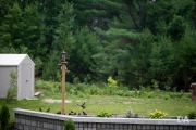Blackbird-2