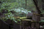 Sigma 105 ART Samples-7