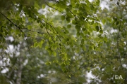 Sigma 105 ART Samples-8